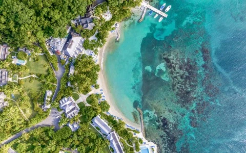 aerial view of a beach with boats and trees