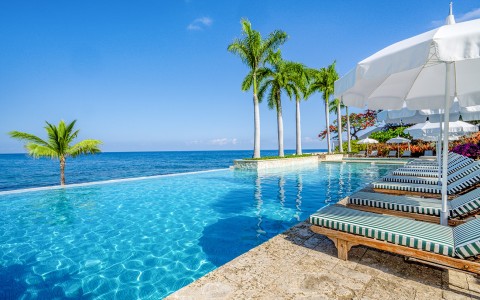 a pool with palm trees and a beach