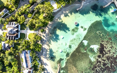 an aerial view of a beach with trees and a body of water