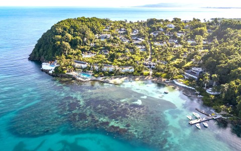 a aerial view of a small island with houses and trees