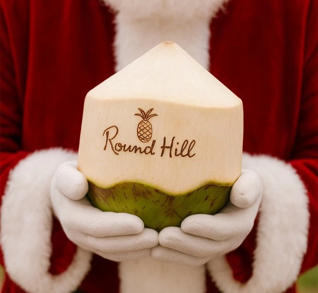 a person holding a coconut