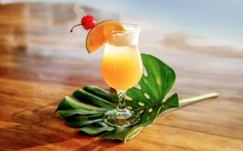 a glass of orange juice with a cherry on top of a leaf