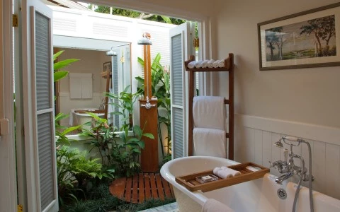 a bathroom with plants and a tub