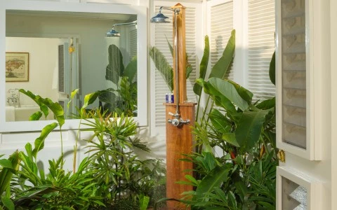 a shower in a tropical garden