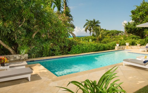 a pool with a chair and trees around it