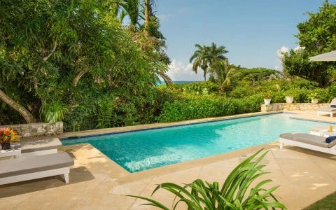 a pool with a chair and trees around it