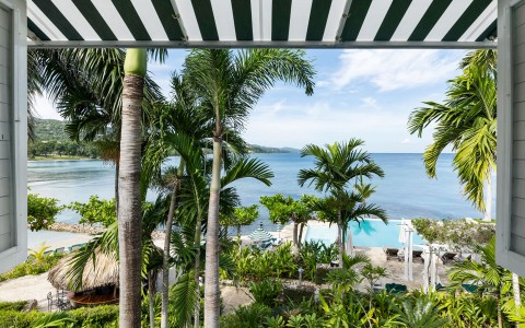 a view of a pool and palm trees from a deck