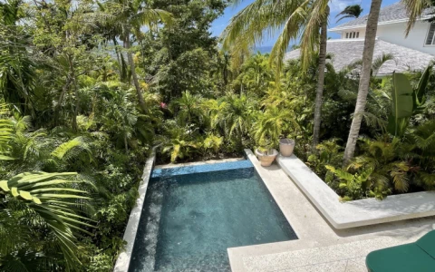 a pool surrounded by trees and plants