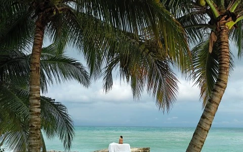 a person sitting on a stone wall with palm trees