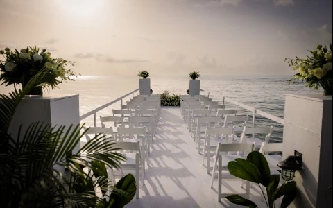 a white chairs on a dock with plants on it