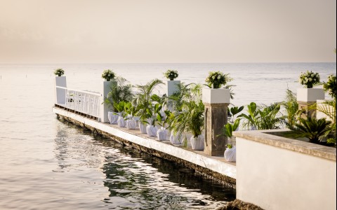 a long dock with plants on it