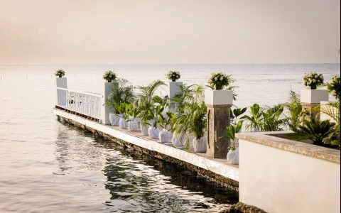 a long dock with plants on it