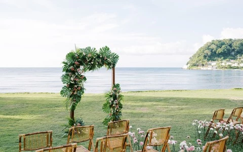 a group of chairs and flowers in a grassy area
