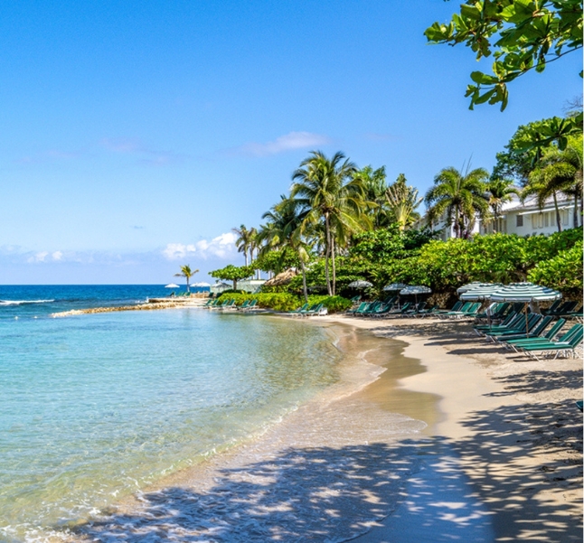 a beach with chairs and trees on the shore
