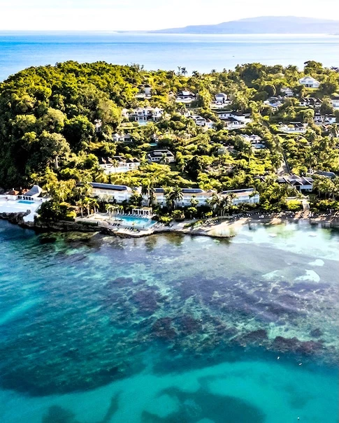 a aerial view of a small island with trees and a body of water