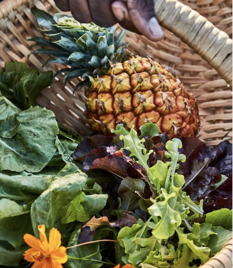 a hand holding a basket of vegetables