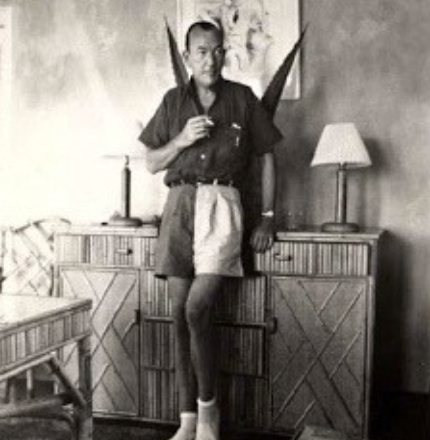 a man in shorts and a shirt with wings