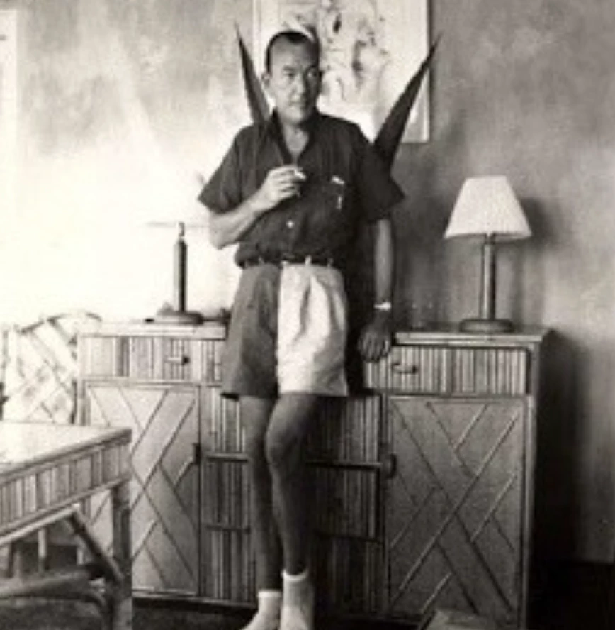 a man in shorts and a shirt with wings