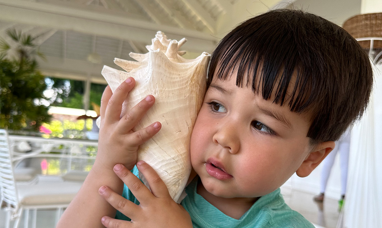 a child holding a large seashell