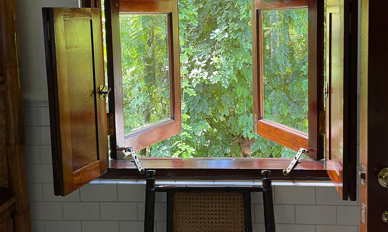an open window looking out to greenery