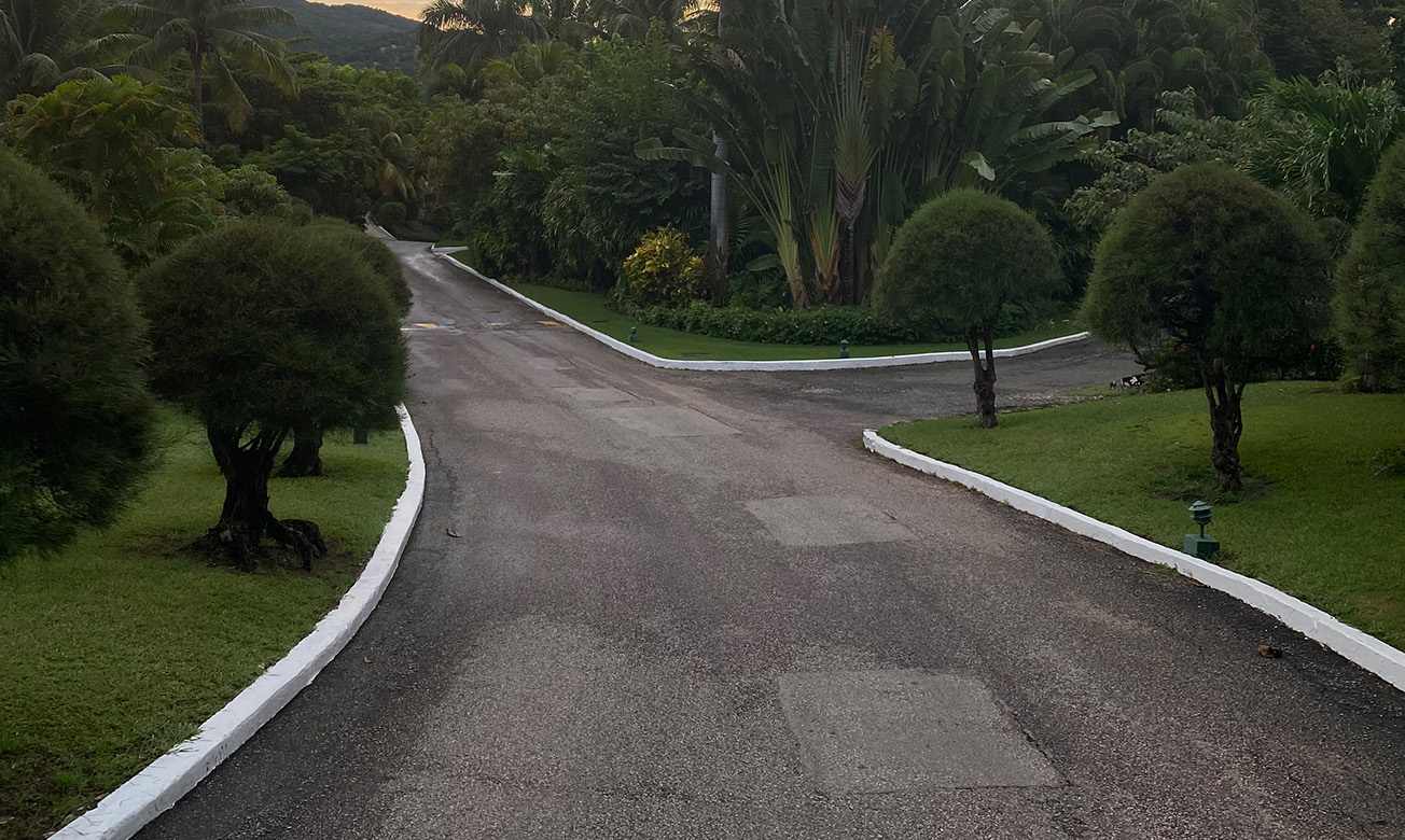 a road with trees and bushes