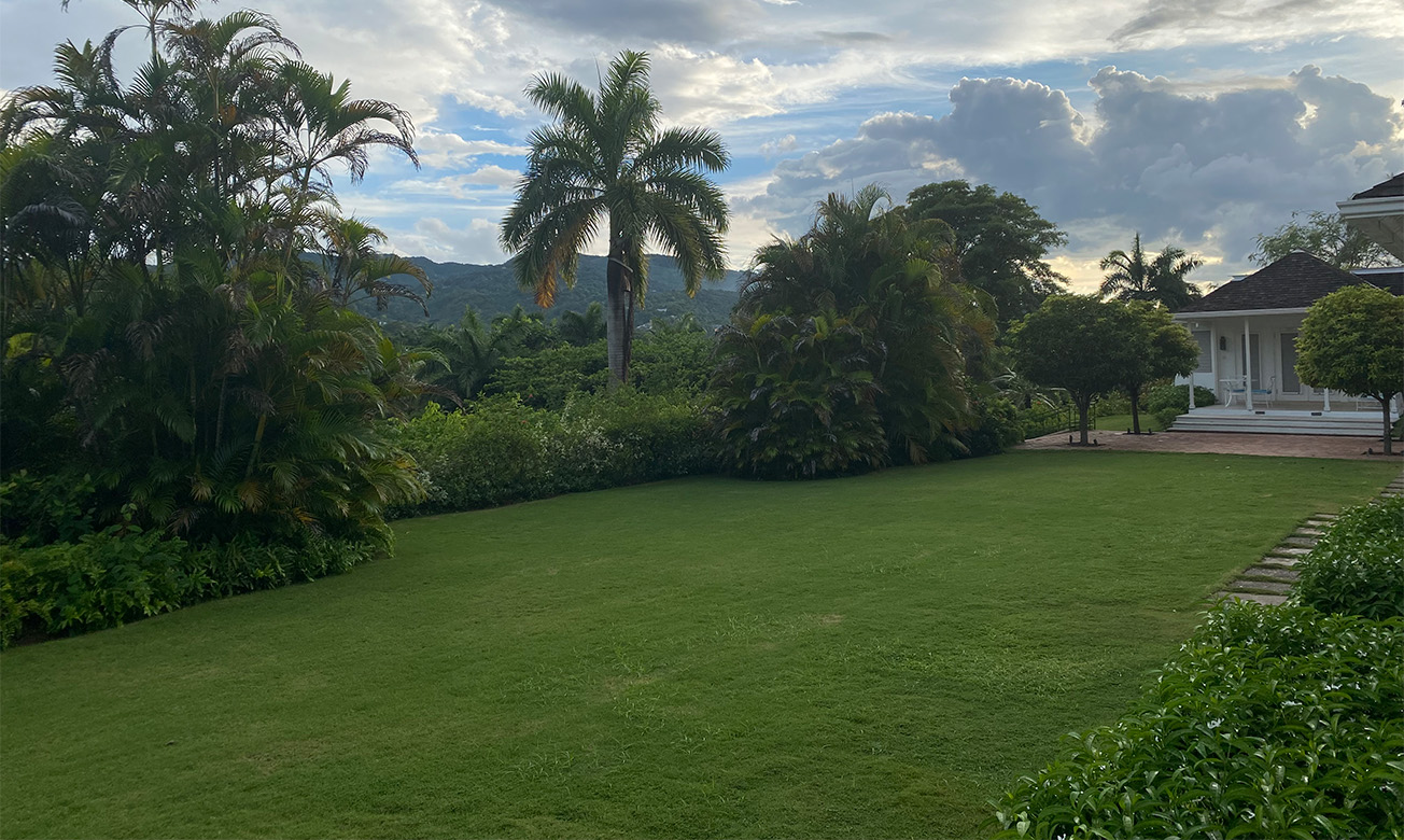 a grass field with trees and bushes