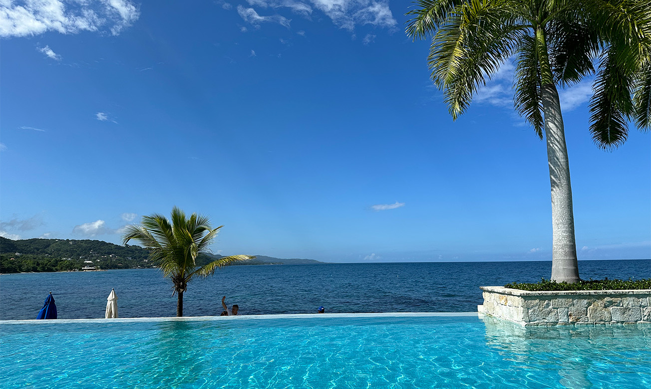 a pool with palm trees and a body of water