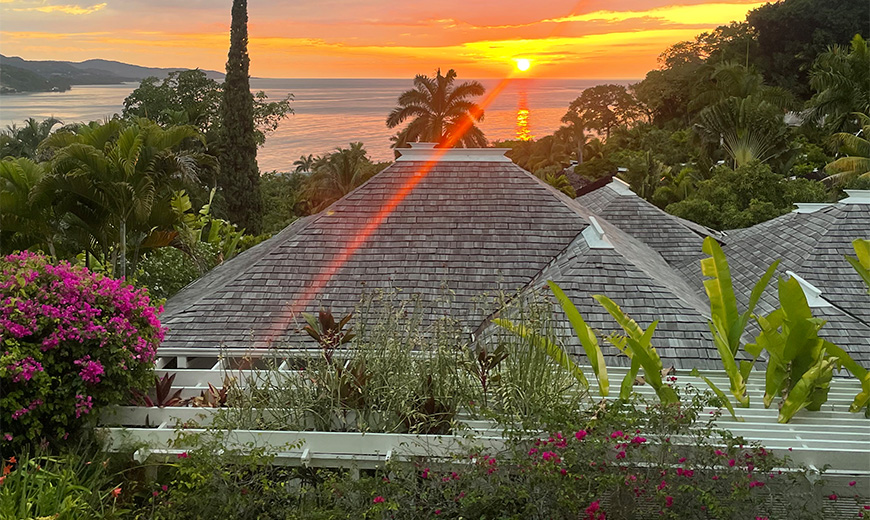 a rooftop of a house with plants and trees in front of a sunset