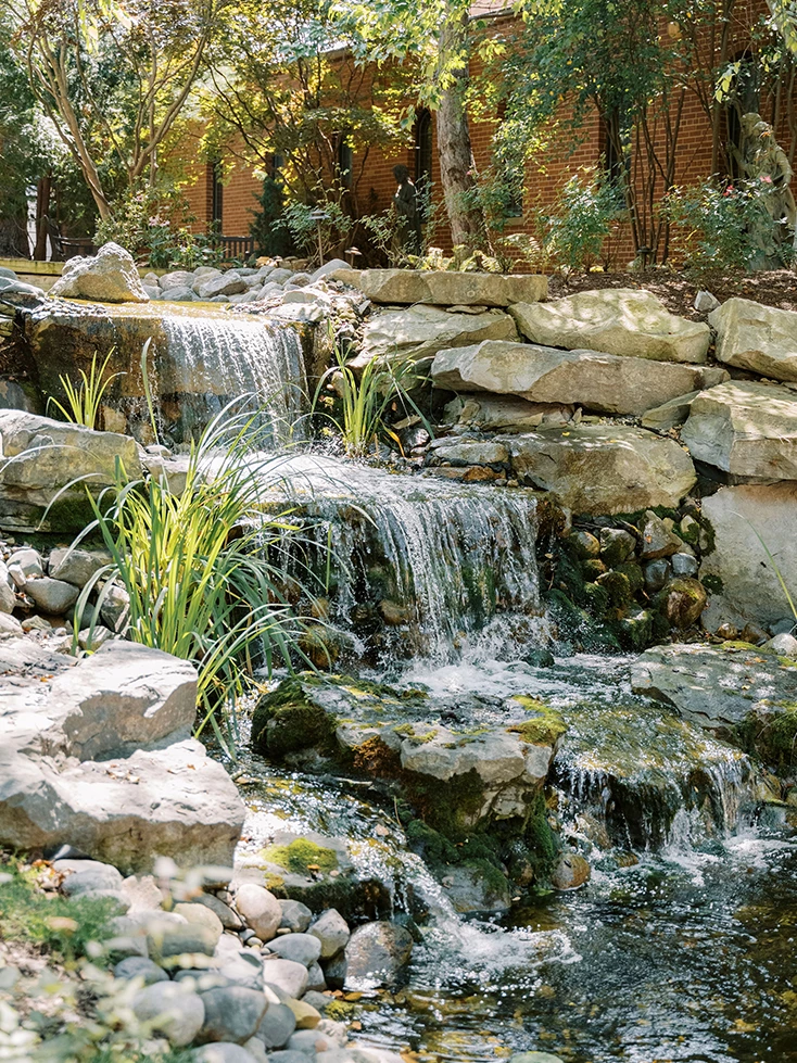 a waterfall with rocks and plants