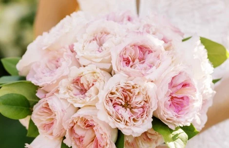 a bouquet of pink roses