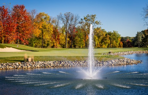 a water fountain in a pond with trees in the background