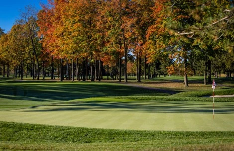 a golf course with trees in the background