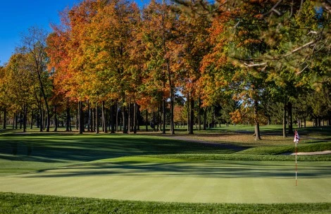 a golf course with trees and blue sky