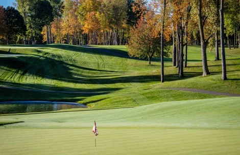 a golf course with trees and a flag