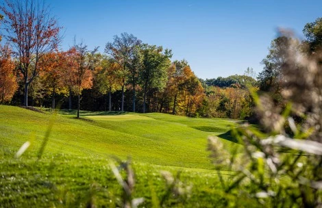 a golf course with trees in the background