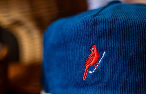 a blue hat with a bird on it