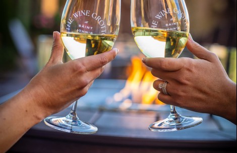 a pair of hands holding wine glasses