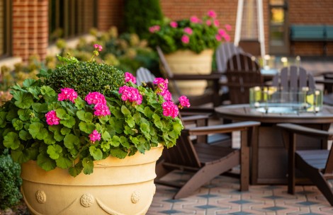 a potted plants and chairs outside of a building