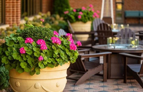 a potted plants and chairs outside of a building