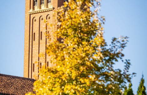 a tall brick tower with a tree in the background