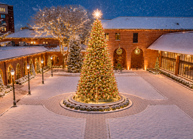 a christmas tree in a courtyard