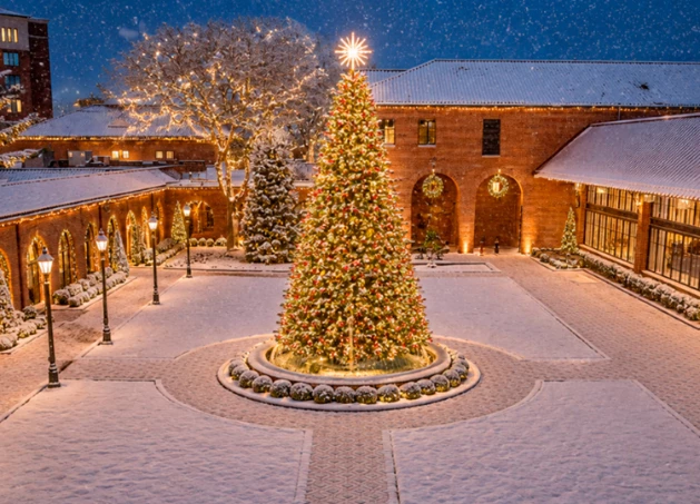 a christmas tree in a courtyard