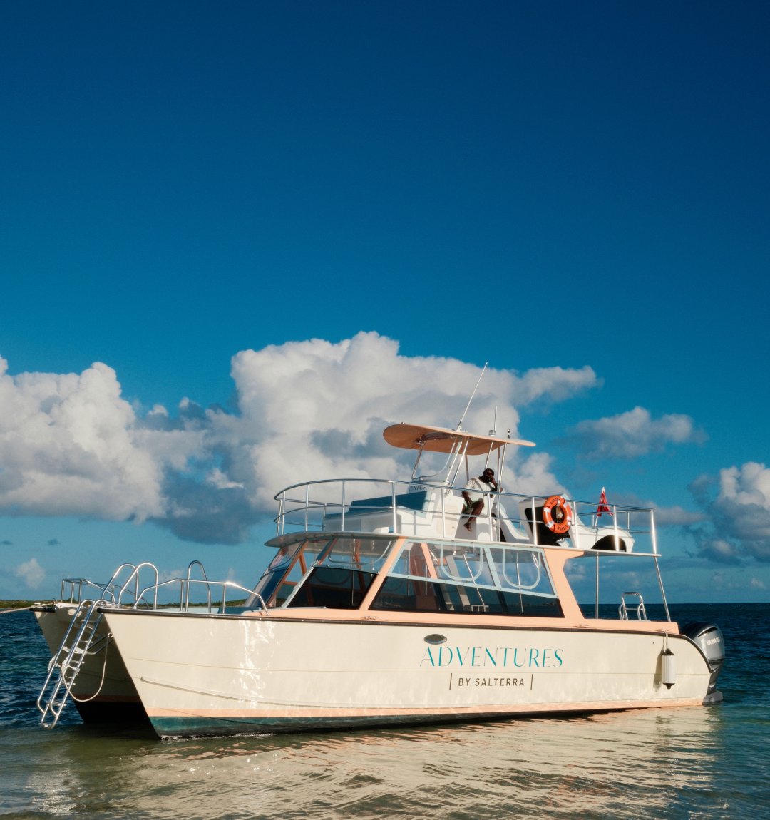 Adventures by Salterra