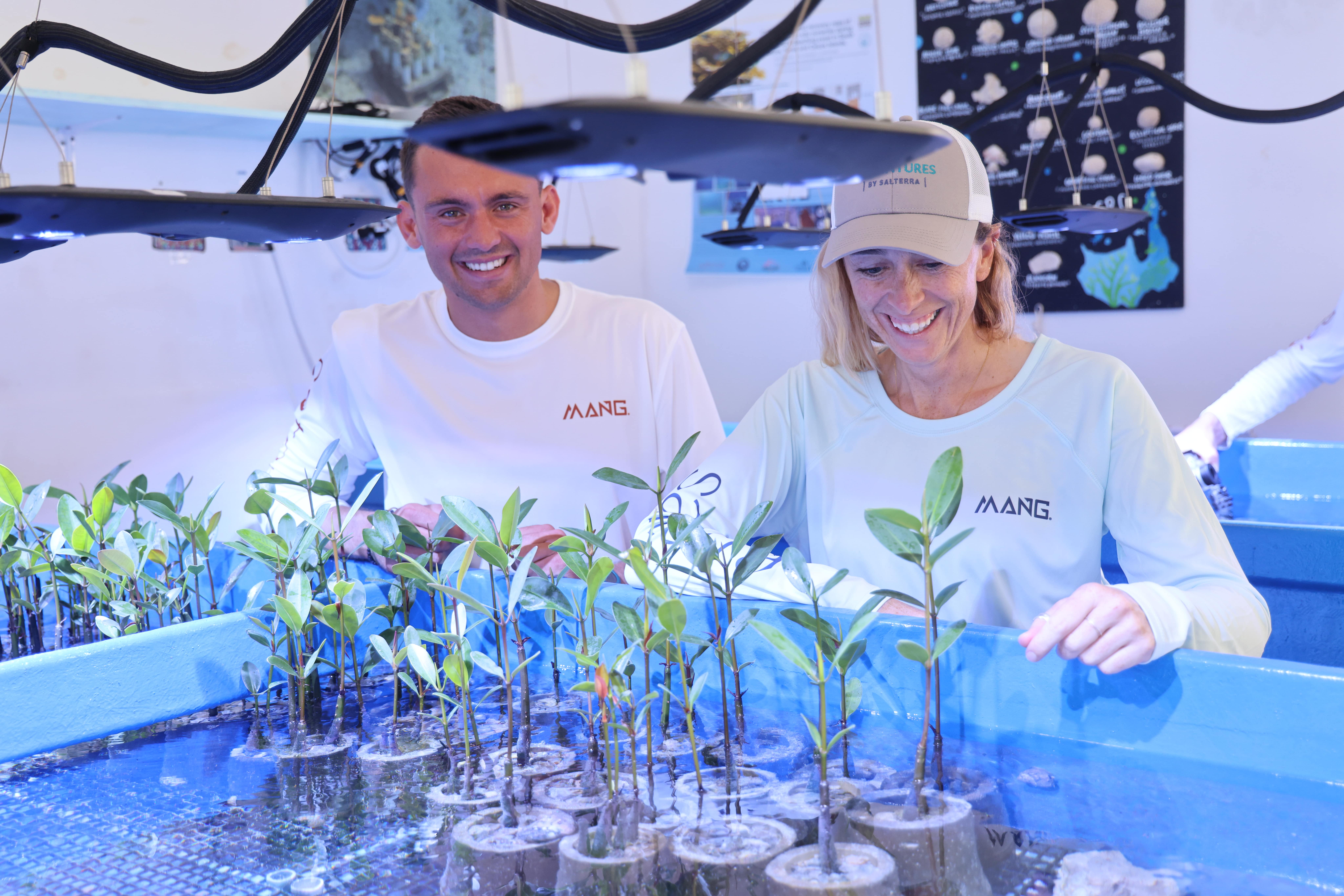 a man and woman looking at mangroves in a tank