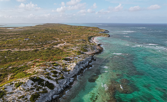 a rocky coast with a body of water