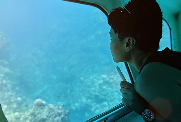 young boy looking out at sealife in clear blue waters in glass bottom boat
