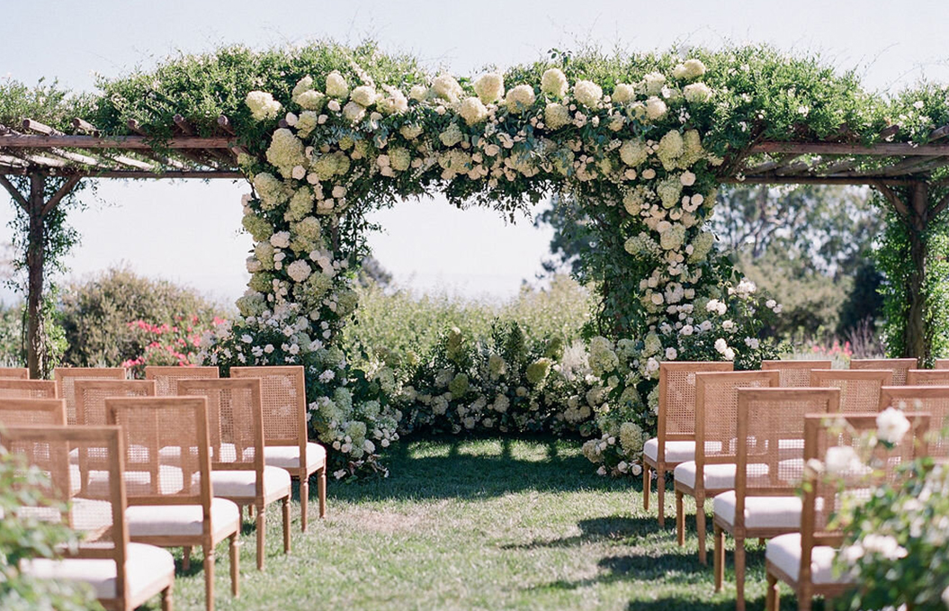 a tree with white flowers
