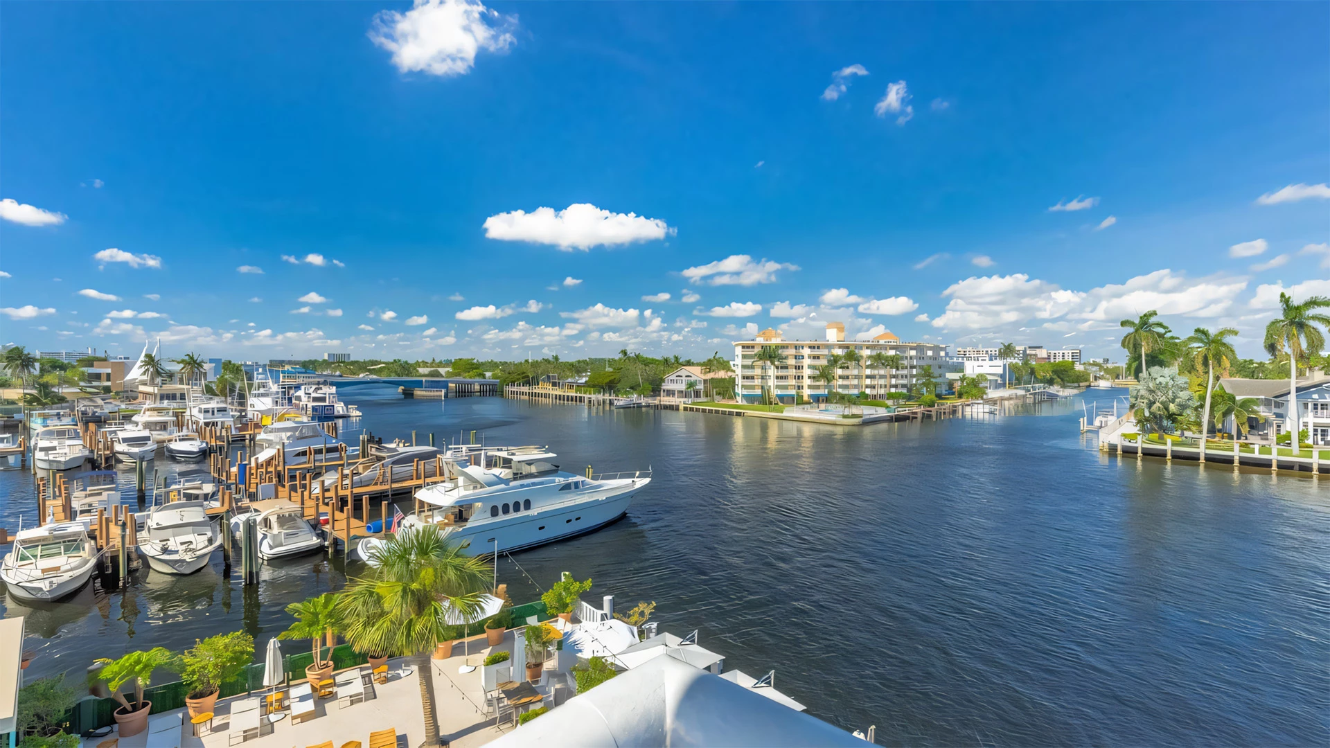 A marina with boats and palm trees under a blue sky