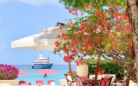 a patio with tables and chairs and a tree with a boat in the background