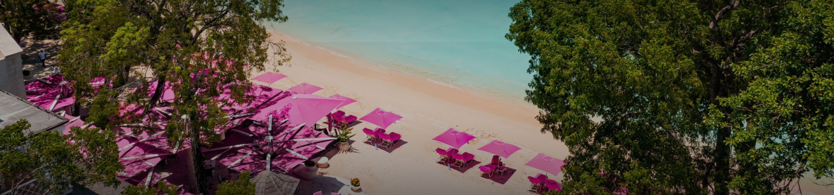 a beach with pink umbrellas and chairs
